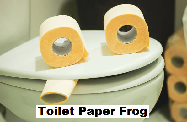 How to make a toilet paper frog