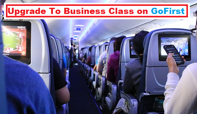 How to upgrade to business class on GoFirst flight